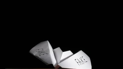 Fake on Paper Plane
