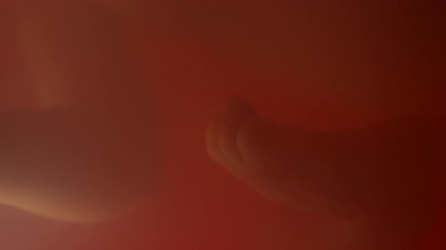 Abstract Textured Background in Red and Orange