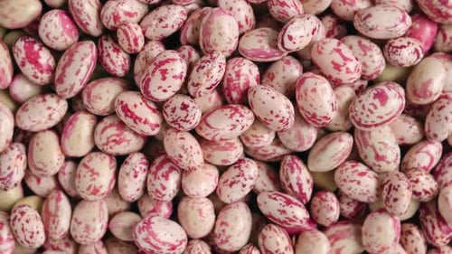 Pile of Speckled Beans Macro Close Up