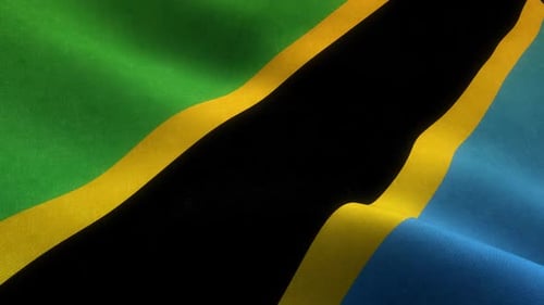 Tanzania Country Close Up Flag Background