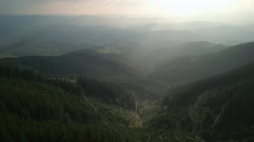 Flying Over Green Forest at Cloudy Day with the Mountains on Horizon with Glowing Clouds Carpathian