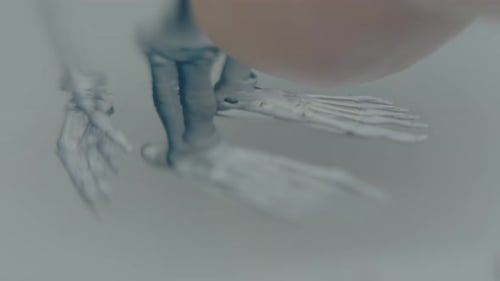 Abstract Macro Shot of Translucent Skeletal Foot
