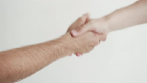 Close Up of Business Handshake on White Background