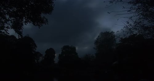 Trees in Silhouette Under a Cloudy Night Sky