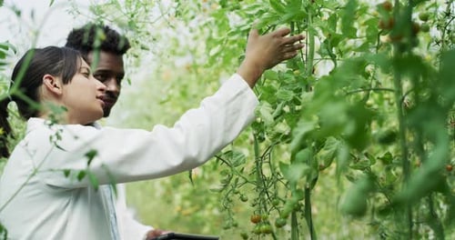 She's got superb expertise in plant science