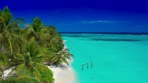 Paradise White Sand Beach Turquoise Ocean Green Palm Trees and Blue Sky with Clouds on a Sunny Day