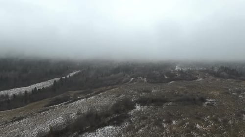 Forest landscape covered in snow under heavy mist. Aerial drone shot.