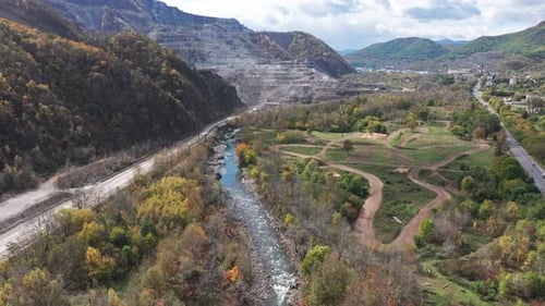 A River Flowing Through a Lush Green Forest