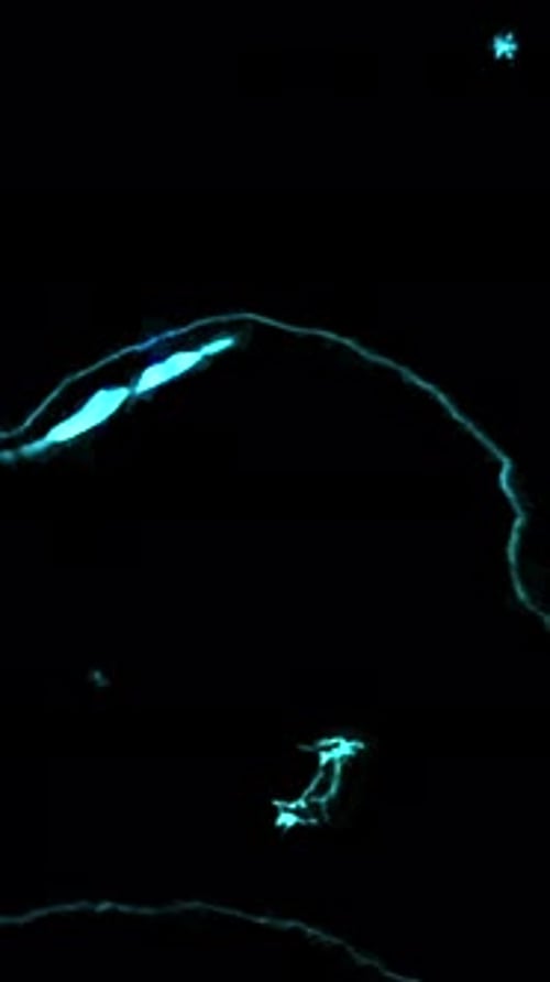 Energetic Blue Sparks and Arcs on Black Background