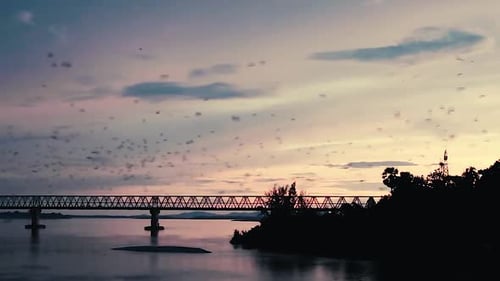 Shot of Thousands of Bats Flying out of There Cave in Hpa An at Sunset, Myanmar