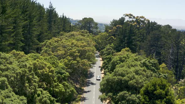 4k video footage of a car driving along a road surrounded by a forest ...
