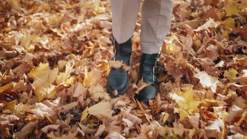 Legs in Boots Walk Over the Fallen Leaves in Forest