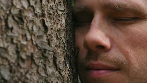 Young Man Hugging Tree and Feeling Nature