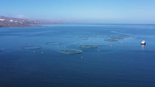 Aerial footage Farm salmon fishing in Norway