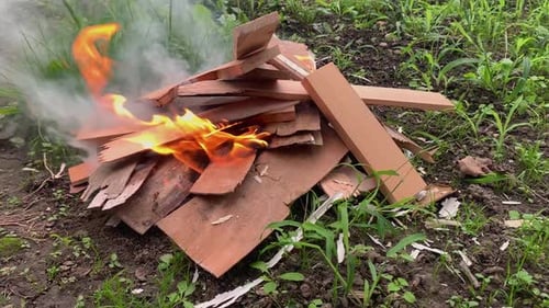 Burning Wood Pile in Green Grassy Yard