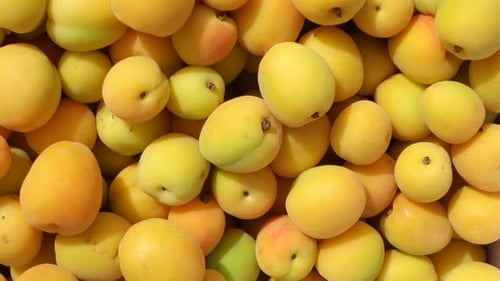 Fresh Apricots Overhead Shot