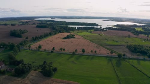 Flight over the wheat field at sunset