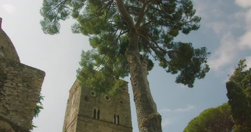 An ancient tower rises among towering pines under a clear blue sky. The majestic structure stands as