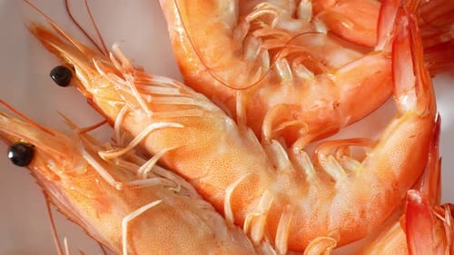 Cooked shrimp with shell in 4K video.