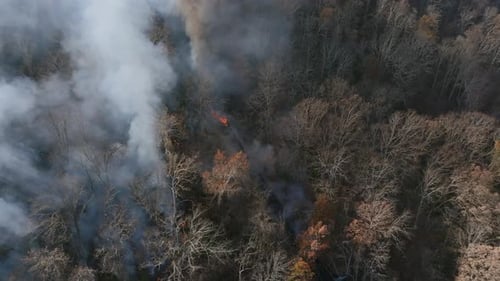 Aerial footage panning down of a fire on the Incline Railroad on Lookout Mountain in Chattanooga, TN
