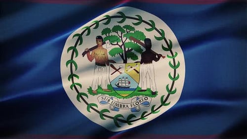 Belize Flag Waving Loop Realistic Animation