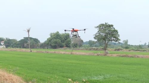 Agricultural Drone Fly Over Green Field