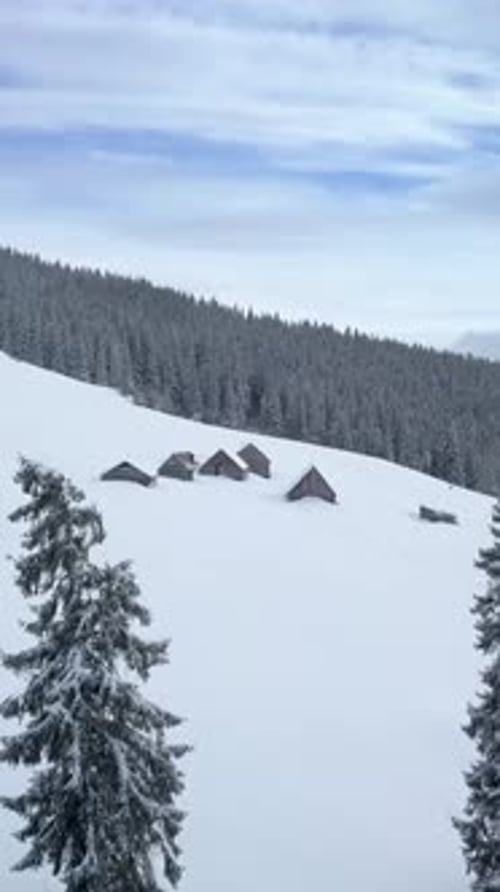 Aerial View of SnowCovered Pine Trees and Cabins in Tranquil Mountain Landscape at Sunrise