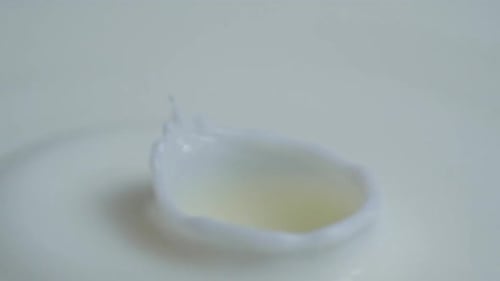 Milk Drops 19