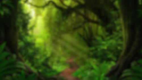 Jungle nature blurred background green flowers forest rainforest blur bokeh 4k backgrounds youtube