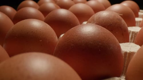 Close Up of Eggs in Carton