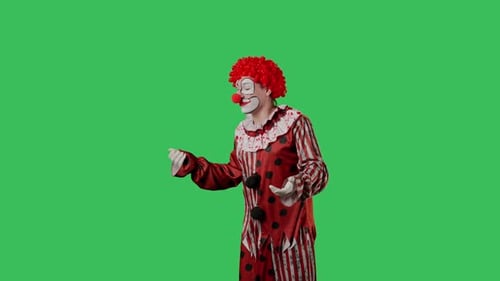 Funny Clown on Green Screen Chroma Key