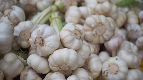 Nahaufnahme von Knoblauch auf weißem Hintergrund