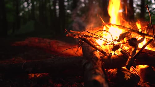 Slider Dolly aus nächster Nähe von Lagerfeuer und Zelten im Wald bei Nacht