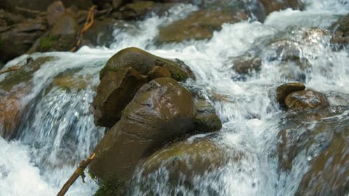 Nahaufnahme eines kleinen Gebirgsbaches mit klarem blauem Wasser, das zwischen nassen Steinen im Sommerwald fließt