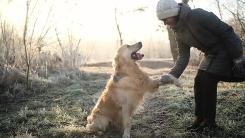 Dog Giving Paw to Person in Winter Landscape