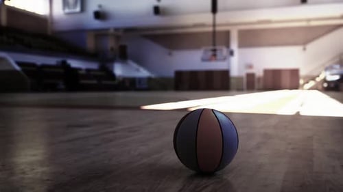 Basketball Resting on Gym Floor