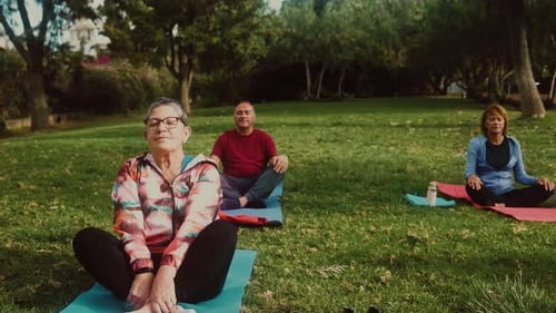 Multiracial senior people doing yoga meditation in a public park - Health elderly people lifestyle