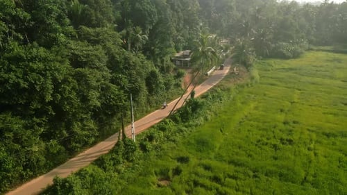 Aerial of Couple Ride on Motorbike on Road Along Rice Field Plantation Drone Shot of Man Woman