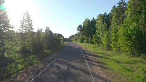 Camera moves over the asphalt road in the forest