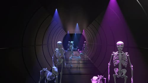 Skeleton Tunnel 03 4k