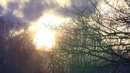 Dramatic sunrise behind black trees with moving clouds. Vibrating warm air, time lapse
