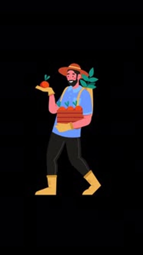 Farmer Holding Basket With Tomatoes On Vertical On Alpha Channel