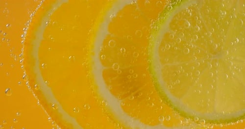 Refreshing Citrus Slices Sparkling in Beverage