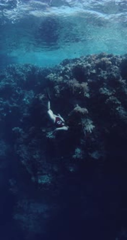 Freediver Dives in Ocean Woman Freediving in Near Rocks with Corals