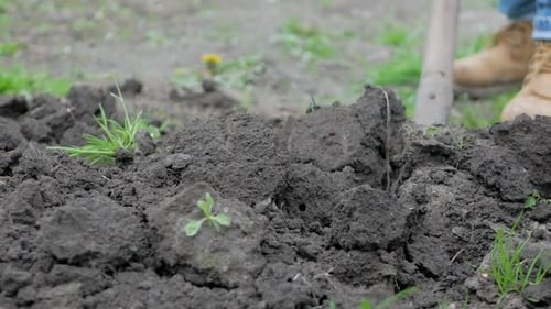 Der Pflanzer dreht mit seiner Heugabel fleißig den Boden um, um ihn für die Bepflanzung vorzubereiten