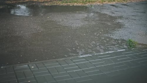 Regentropfen auf Pavement City Rain