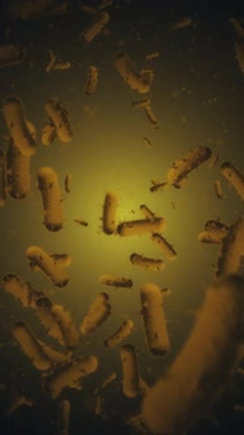 Vertical Video - Flowing Infected Virus Cells Medical Background