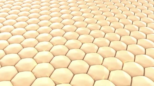 3D Skin Cell Animation with Serum and DNA