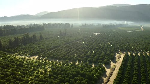 What a view of the lands