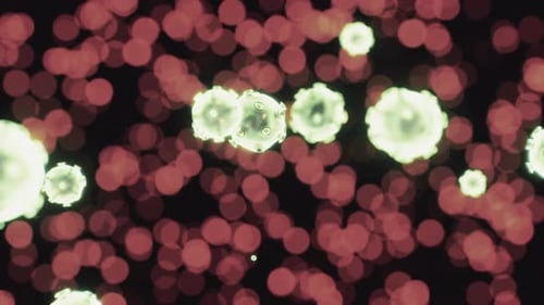 Virus Cells or Bacterias Under Microscope